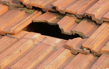 roof repair Brunstock, Cumbria